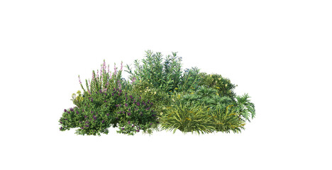 Flower garden on transparent background