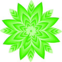 Flower blossom petal botanical leaf plant ornament decorative abstract background art graphic design pattern illustration png