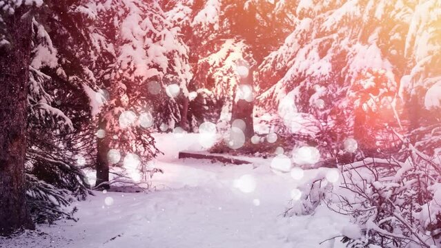 Animation of digital lens flare and snow falling on snow covered road amidst pine trees in forest