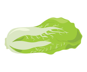 vegetarianism vegetables healthy and useful food