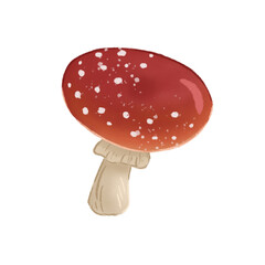 Red Mushroom