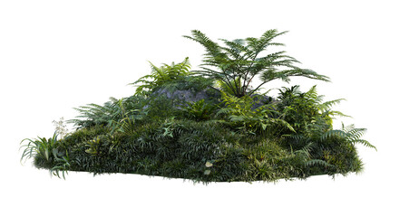 Tropical plant garden on a transparent background