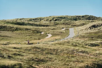 Fototapeten Radfahren in der Dünenlandschaft der Nordseeküste- aufgenommen in Nordholland (Dünen von Den Helder) © Prieshof PixEL
