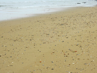 sand beach with shells and gravel after low tide