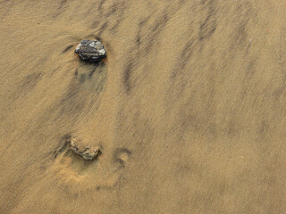Fototapeta na wymiar sand beach with stone after low tide