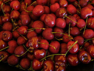 delicious and fresh red cherries