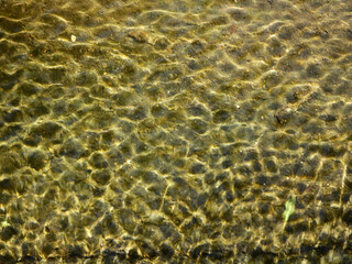 clear water with reflection of sunlight