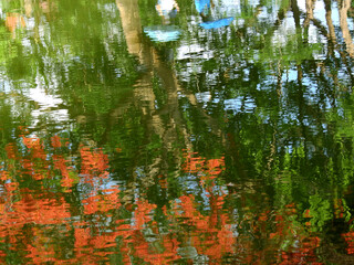 abstract water reflection in the pond of the park
