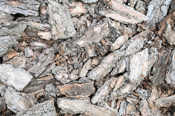  Top view of bark pieces piled on the ground. Natural textured background