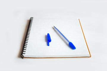 Notebook with a blank page with a blue pen on top.