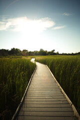 Fototapeta premium Presquile Provincial Park in Ontario, Canada. 