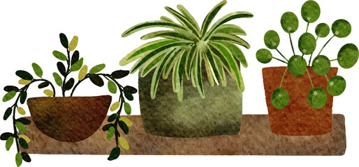 Watercolor House Plant Illustration