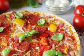 Pizza with salami and basil