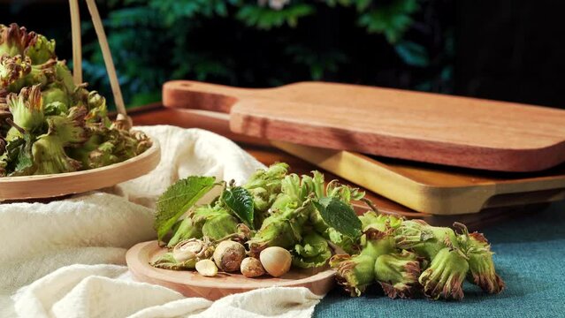 Northeast summer fresh raw hazelnuts in July