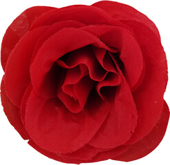  flower rose blossom cutout