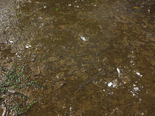 wet abandoned ground with water flood after rain