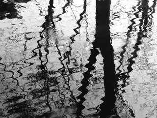 abstract water reflection of tree silhouette black and white style