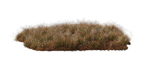 Trees and grass Autumn on a transparent background