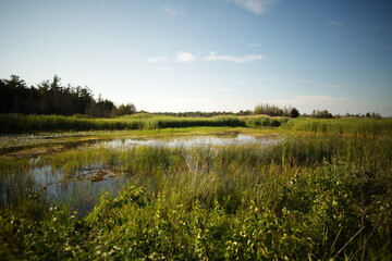 Presquile Provincial Park in Ontario, Canada. 