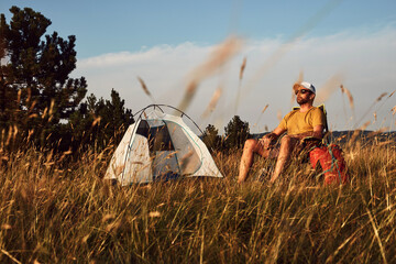 Man camping in nature, unpacking and packing small tent outdoors, recreation and hobbies.