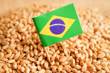 Brazil on grain wheat, trade export and economy concept.