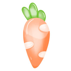 Cute carrot watercolor illustration