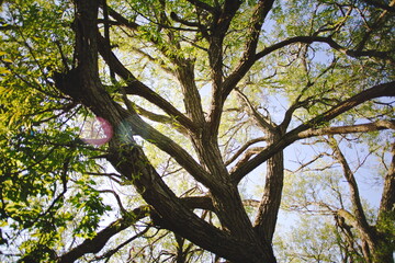 Presquile Provincial Park in Ontario, Canada. 