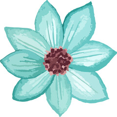 floral illustration watercolor hand drawn