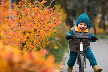A cheerful little boy rides a bicycle outdoors. A happy child walks in the autumn park. The baby is...