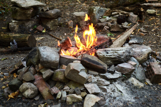Bonfire in the forest