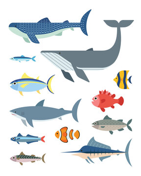 Flat style sea ocean fish set vector illustration