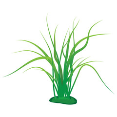 green grass vector design