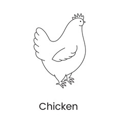 Fototapeta na wymiar Chicken is a linear vector bird icon.
