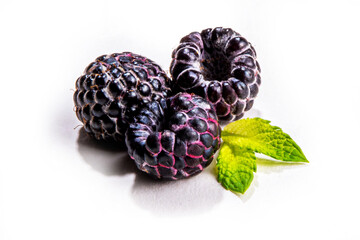 Black raspberry with leaf isolated on white.