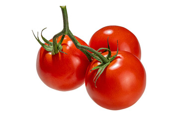 Tomato branch on white