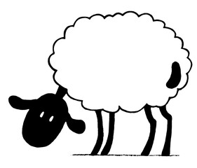 Sheep drawing