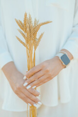 Female hands holding small bunch of gold wheat spikes
