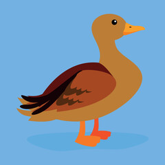 brown duck on blue background