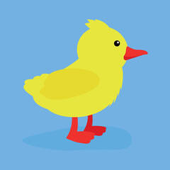 duckling on a blue background
