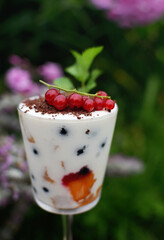 yogurt with mint leaves and red currant berries outdoors, healthy food