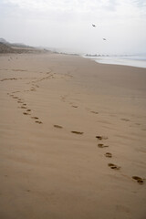 Traces de pas sur une plage en hiver