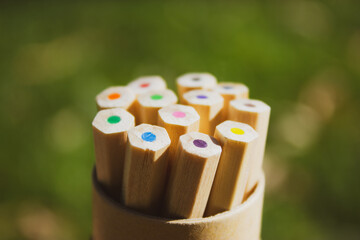 Set of multicolored colored wooden pencils in a cardboard holder, box, tube on a blurry green natural background. Concept of drawing outdoors, a hobby. Applies for sketching. Back to school concept.