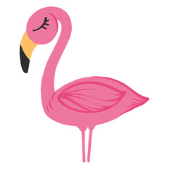 Flamingo, pink flamingo