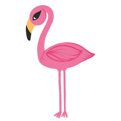 Flamingo, pink flamingo