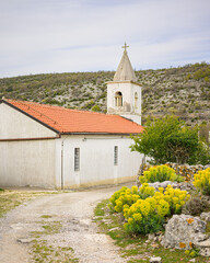 Mediterranean spurges in front of small church