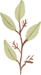 watercolor hand drawn floral minimal design