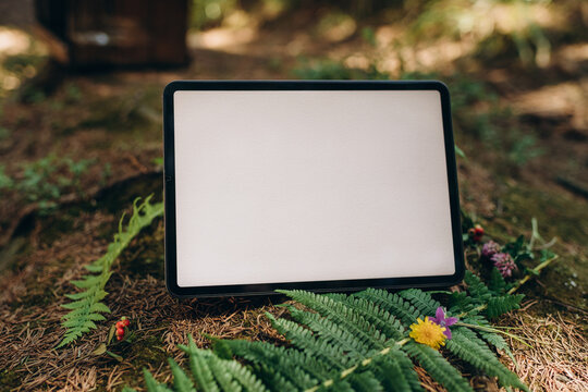 Tablet Mockup On The Background Of Nature In The Forest. Workplace In Nature, Ipad Mockup With Blank White Screen