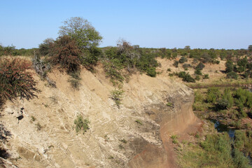 Afrikanischer Busch - Krügerpark - Red Rocks / African Bush - Kruger Park - Red Rocks /
