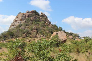 Krüger Park - Afrikanischer Busch - Inselberg / Kruger Park - African bush - Koppie /