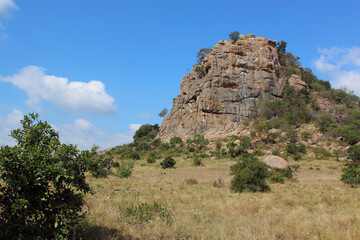 Fototapeta na wymiar Krüger Park - Afrikanischer Busch - Inselberg / Kruger Park - African bush - Koppie /